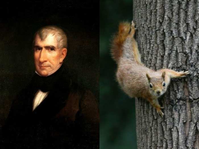 William Henry Harrison: Squirrel stew