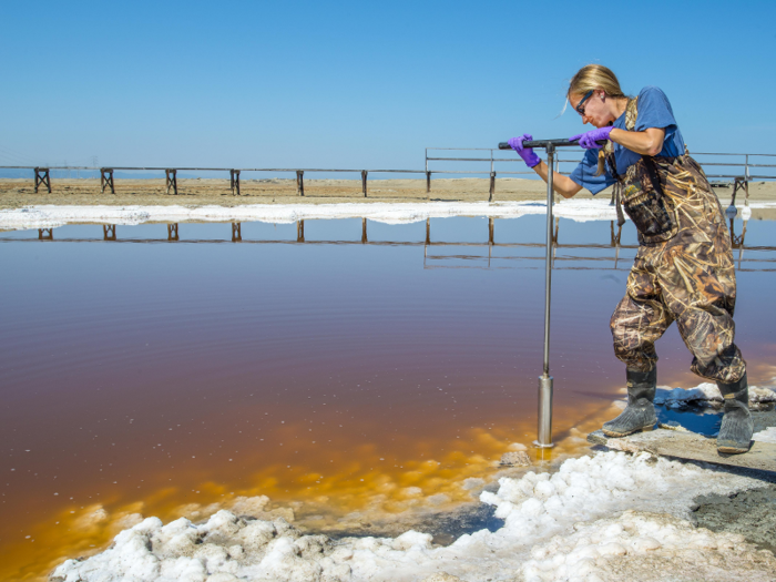 Soil and plant scientists make an average of $63,950 a year