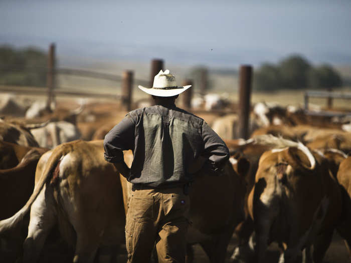 Once a place to talk shop, #AgTwitter has helped curb depression among farmers