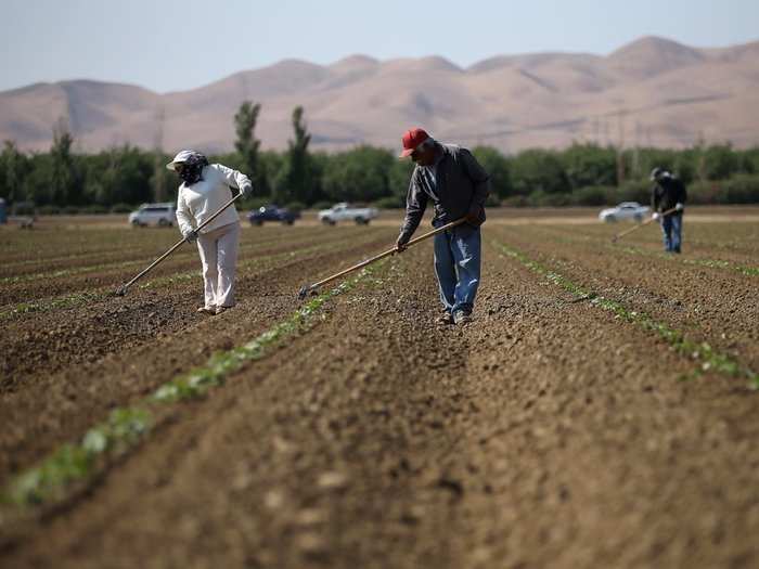 Over 50,000 jobs in agriculture are available per year in the US, yet there aren