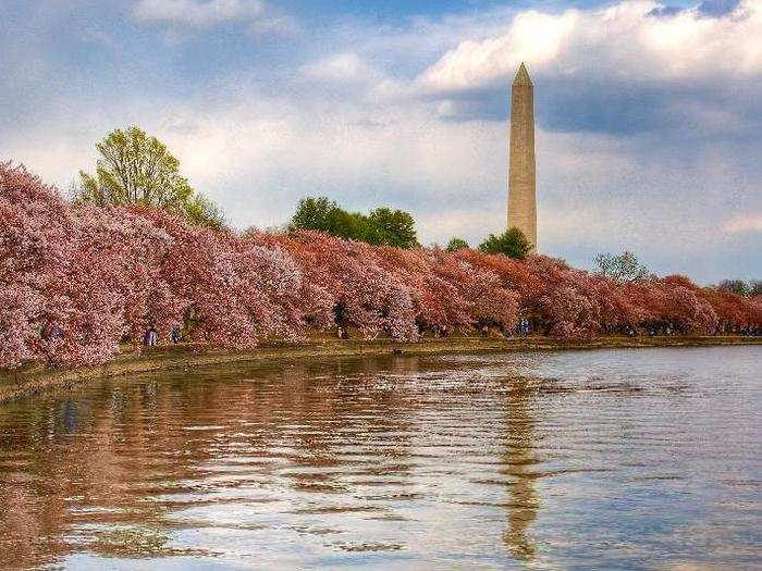 Scientists predict that Washington, DC, could sink by 6 or more inches in the next century.