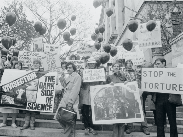 In 1986, Harvard