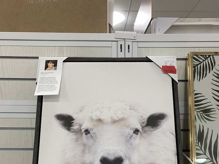 There were also more eclectic options, like this discounted portrait of a sheep.