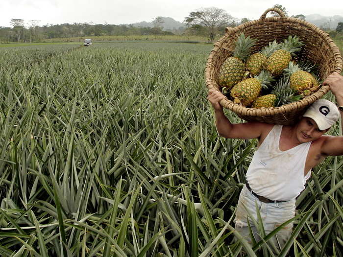 VanEck Vectors Agribusiness ETF