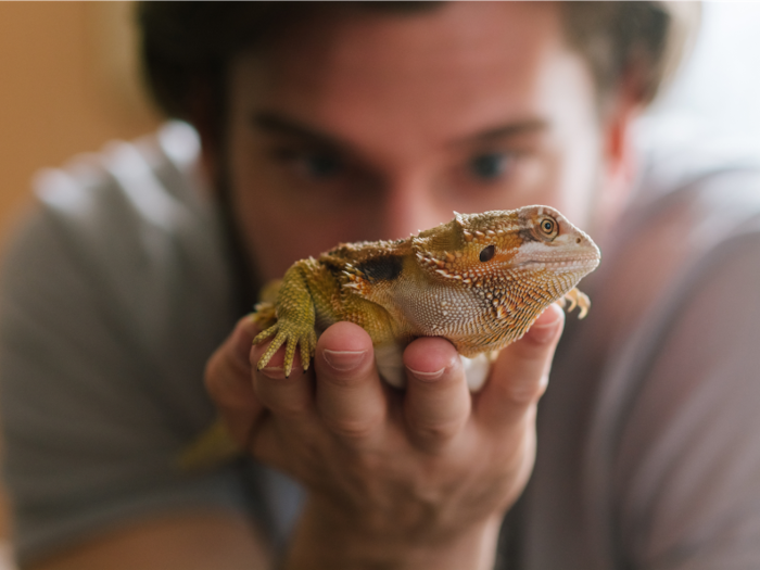 You can catch Salmonella from reptiles and amphibians.