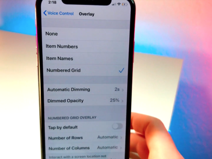 Here, you see how you can change the Voice Control overlay from a numbered grid, which is what was demonstrated here, to item names or numbers — although those look a bit more confusing and muddy to read.
