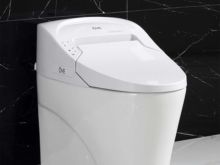 A "smart toilet" with a seat-warmer and automatic flushing: $999.99