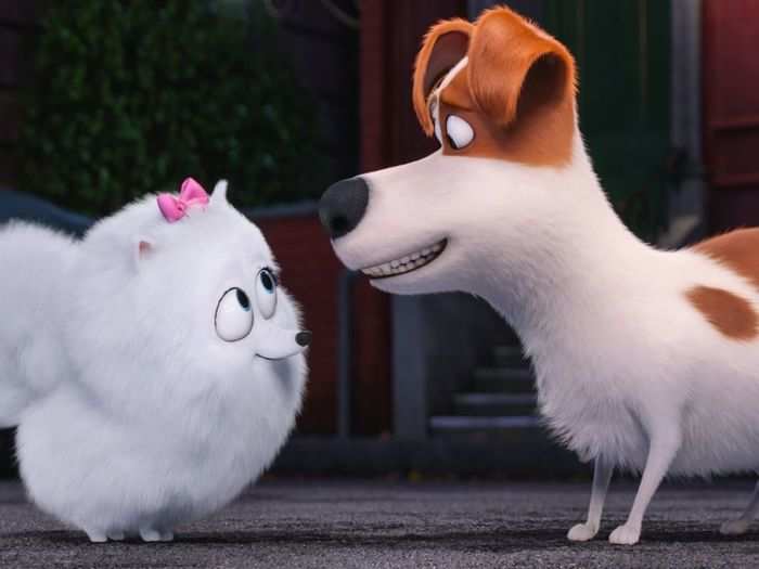 Predecessor — "The Secret Life of Pets" (2016)