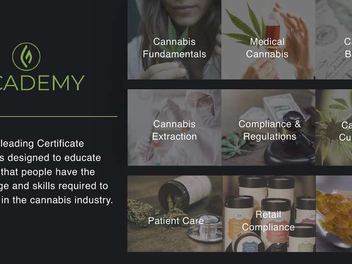 We got an exclusive look at the pitch deck that cannabis education platform Green Flower Media used to raise $20 million from top investors