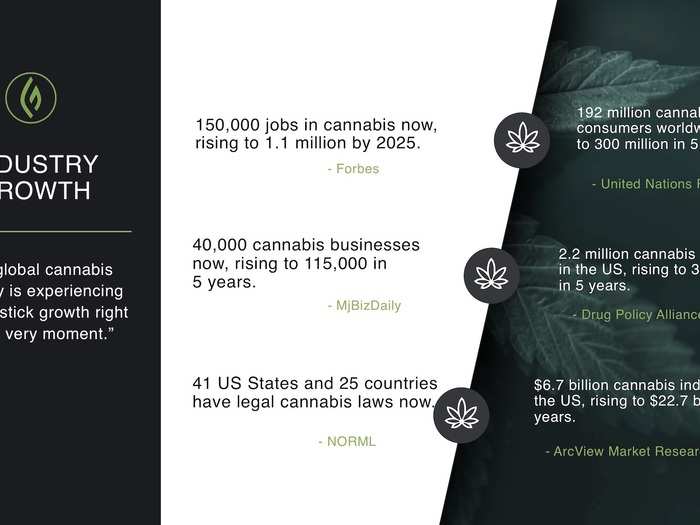 We got an exclusive look at the pitch deck that cannabis education platform Green Flower Media used to raise $20 million from top investors