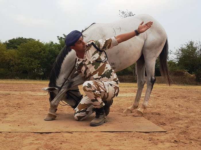 An  Indo-Tibetan Border Police personnel celebrated the Yoga Day 2019 with his horse.