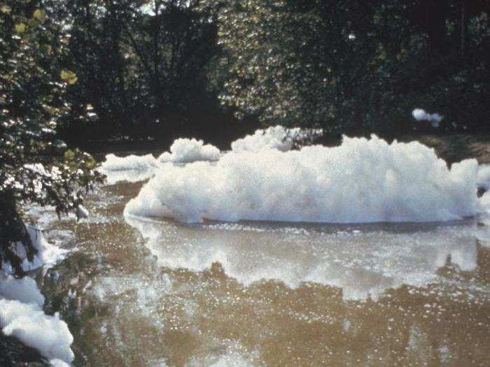 Foam can form on water naturally as a result of fats and oils deposited from dead plants. But that wasn