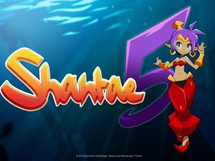 "Shantae 5," by WayForward