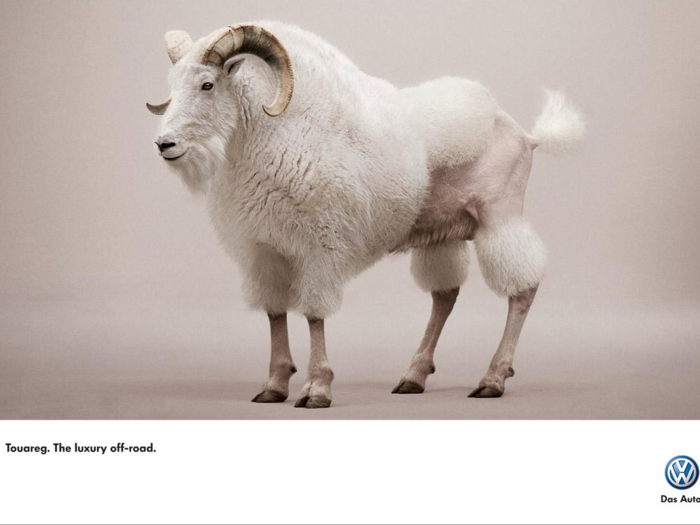 Volkswagen, known for its unique advertising, dressed a mountain goat (an off-road animal) like a poodle (a city animal) to show its cars could have the best of both worlds. "Touareg. The luxury off-road." (Brazil, 2009)