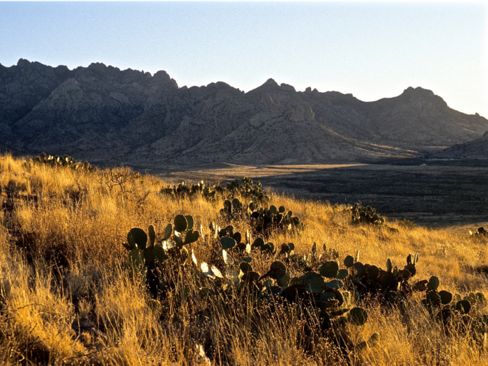 Deming, New Mexico: 50% of the population speaks Spanish.