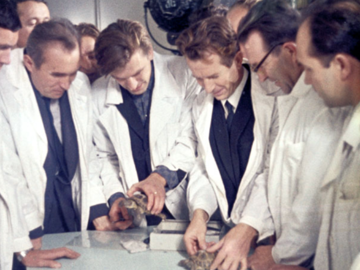 The USSR flew tortoises, flies, and mealworms around the moon before humans got close.