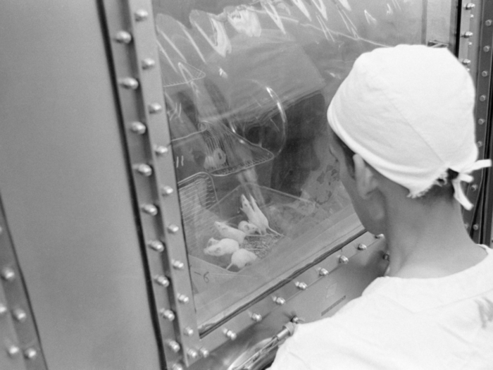 NASA sent its first mouse into space in 1950, but it died on impact when returning to Earth.