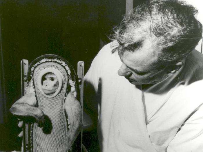 NASA started sending monkeys into space in 1948, the start of a long tradition for the world