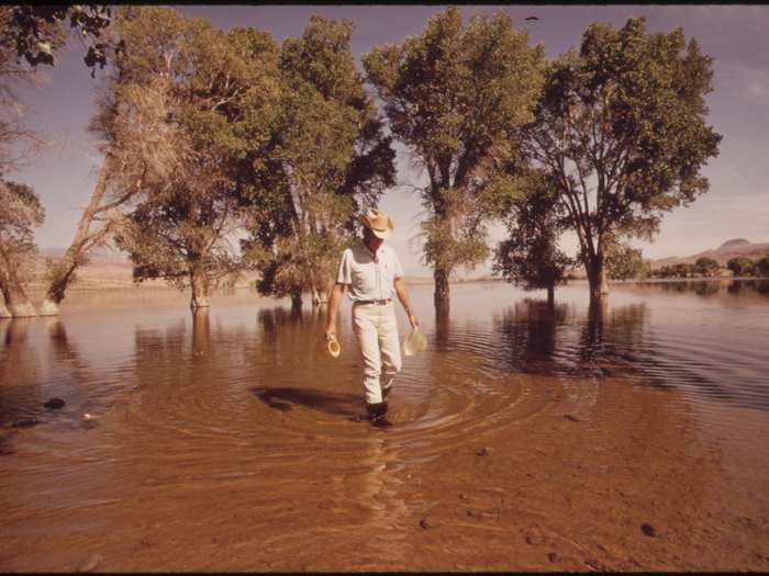 "We still think of air as free," Nixon said in his 1970 State of the Union address. "But clean air is not free, and neither is clean water."