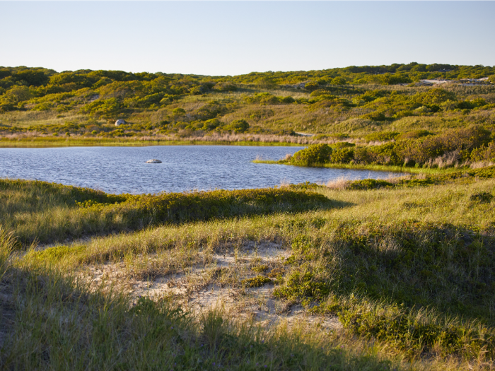 Caroline Kennedy has now put the estate, which has belonged to the family for 40 years, on the market for $65 million.