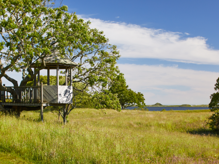 She even built a treehouse on the property for her grandchildren.