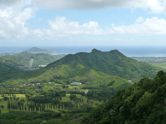 She also found time to earn a degree in business administration from Hawaii Pacific University in 2009.