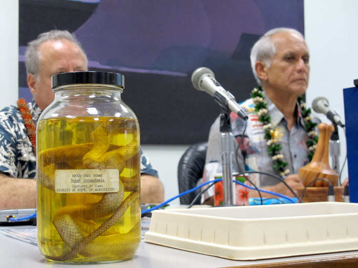 The Guardian described Mike Gabbard as a "polarizing local Hawaiian politician." He