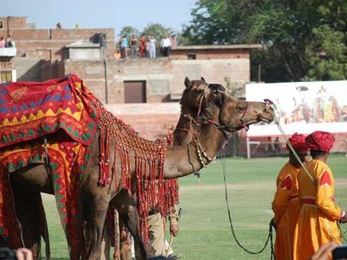 “Unlike other cities in the region located in hilly terrain, Jaipur was established on the plain and built according to a grid plan interpreted in the light of Vedic architecture. “, says UNESCO