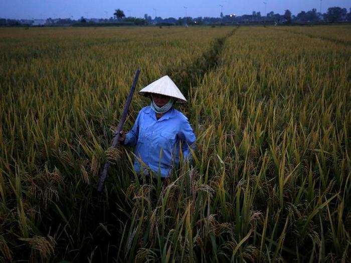 Vietnam faces a similar future, with sea levels expected to displace up to 12 million people from its coastline by the end of the century.