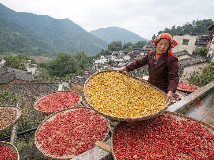 China is expected to face the highest number of food insecurity deaths per capita due to climate change, with up to 308 deaths per million people.