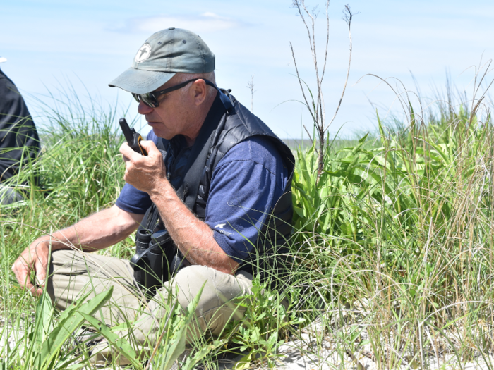 The team works together to corral the birds into a spot where cannons can startle them and nets can catch them. It