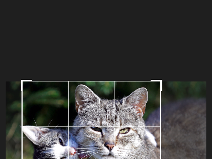 Use the rule of thirds