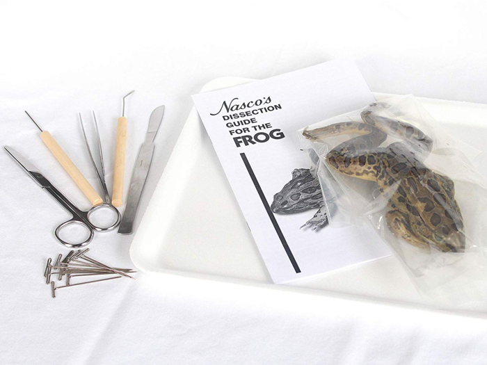 2. Frog dissection kit.