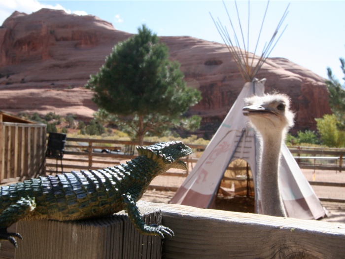 After Albert and his wife died, the 5,000 square-foot home in Monticello, Utah, is now a tourist attraction.