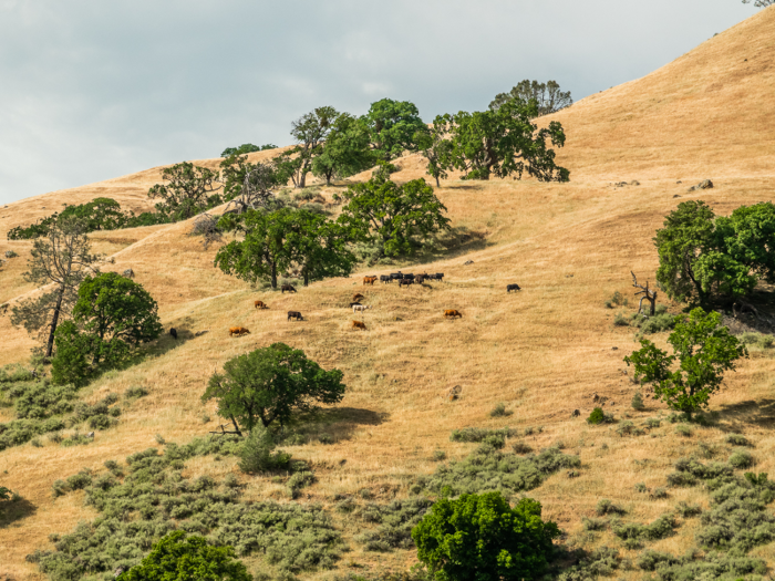 It has been a working ranch for 85 years ...