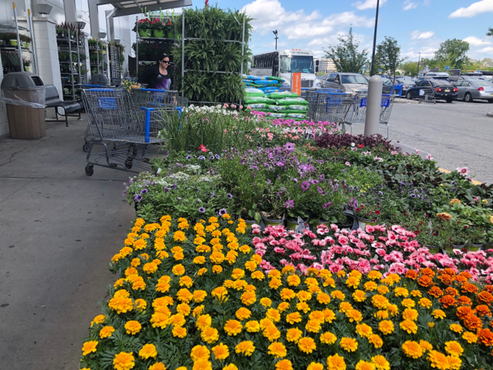 We visited at the beginning of spring in the US, so this giant floral display made sense.