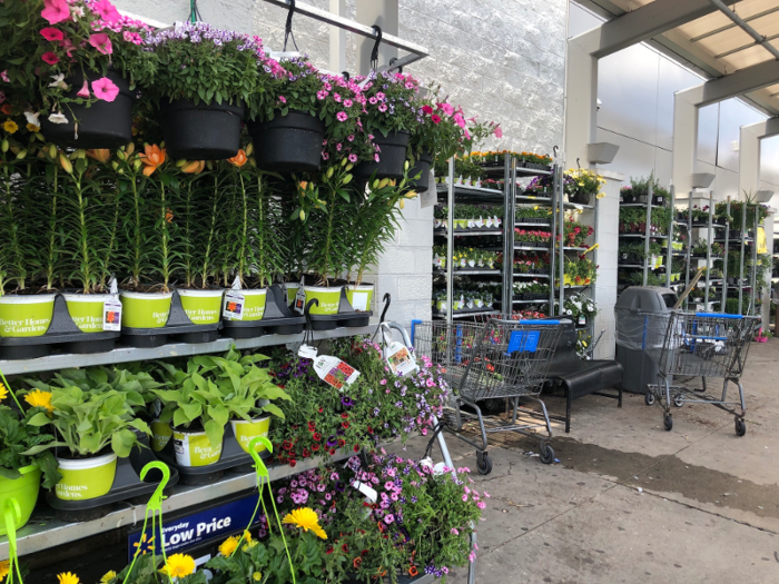 In the US, while walking up to the entrance of Walmart we also saw a large outdoor gardening display. There were both potted and hanging plants, bags of mulch, and so many flowers in bloom.