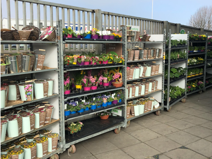 ... and a variety of potted plants.