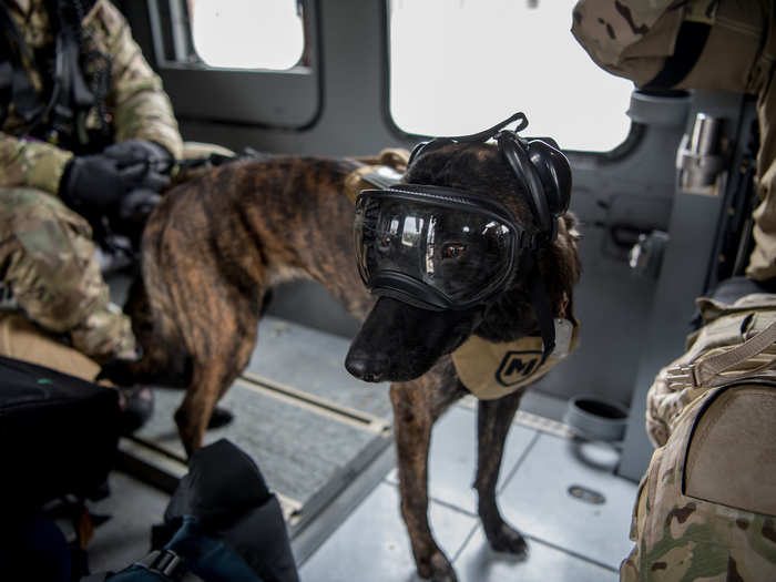 The 123rd SAR K-9 program was funded by the Air National Guard innovation program, meant to enable Airmen to make positive, meaningful change and drive a culture shift toward innovation.