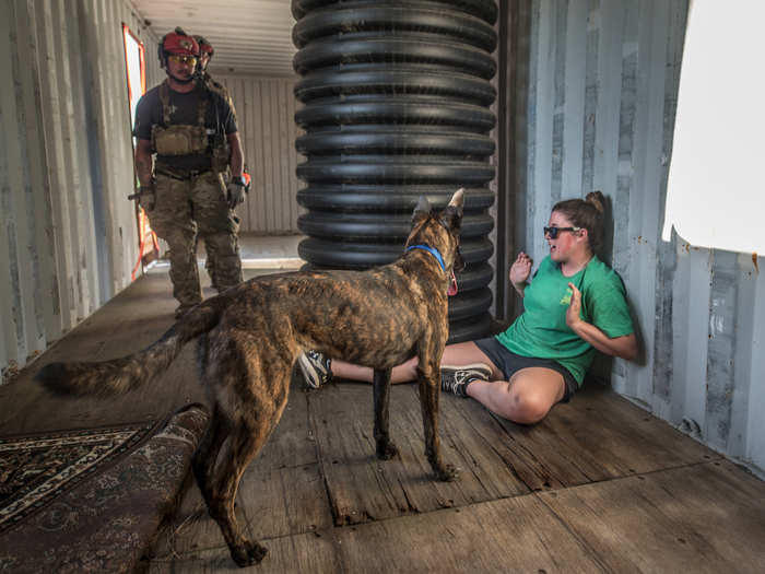 Looking to the future, Parsons hopes the SAR K-9 program will develop into a full-fledged military working dog program that can regularly deploy with special tactics personnel recovery teams and global access teams.