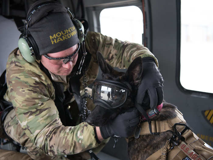 "Pararescue is the only DoD asset dedicated to search and rescue, which is why Callie is such a mission-enhancing asset," Grugel said. "Search-and-rescue dogs have already been proven time and time again on the civilian side. They have such an immense capability. When they do side-by-side testing, there