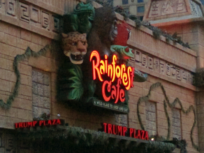 5. Rainforest Cafe