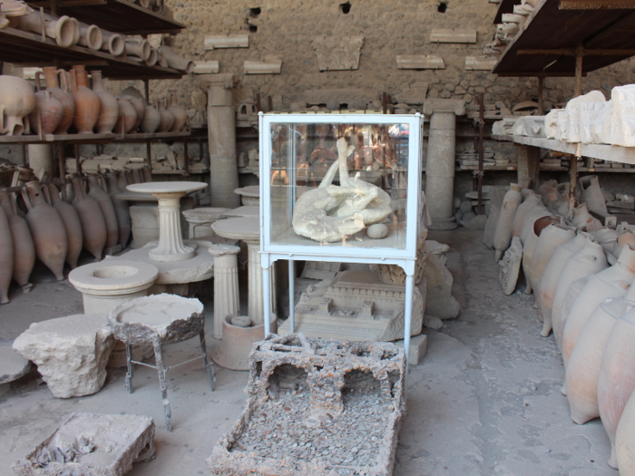 Michele told us that many animals were able to sense the eruption before the humans and thus escaped. However, some animals, like this dog, were not so fortunate as they were kept by Pompeiians. You can still see the evidence of a collar around the neck of the dog, meaning it was chained up at the time of its death.