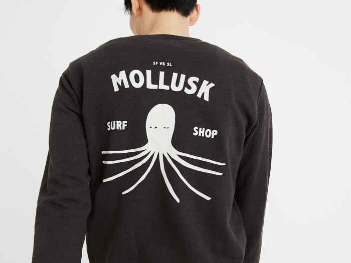 Mollusk