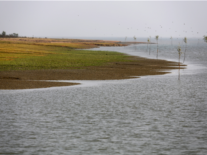 Another solution is re-homing the Rohingya on an island a two-hour boat ride away from the mainland. But the island, which only emerged around 2006, is flat and formed from sediment. Moving people there would put them at the mercy of floods and storms. A strong cyclone at high tide could submerge the entire island.