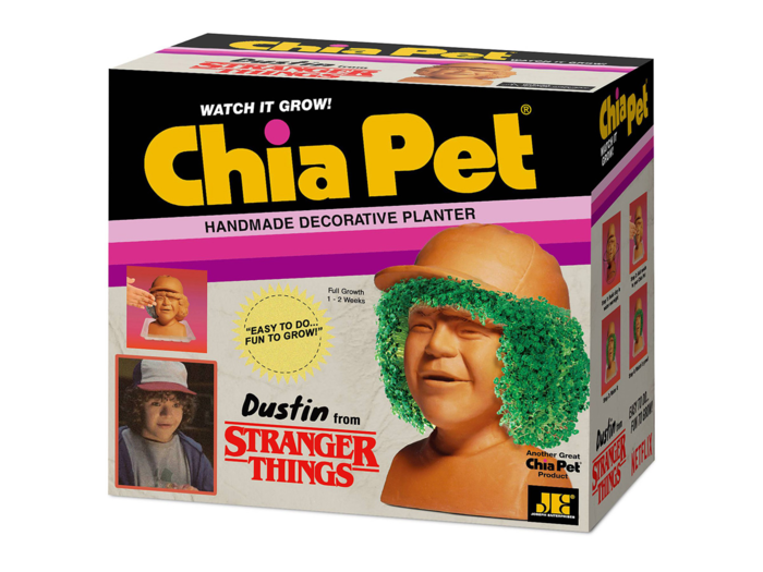 Dustin Chia Pet