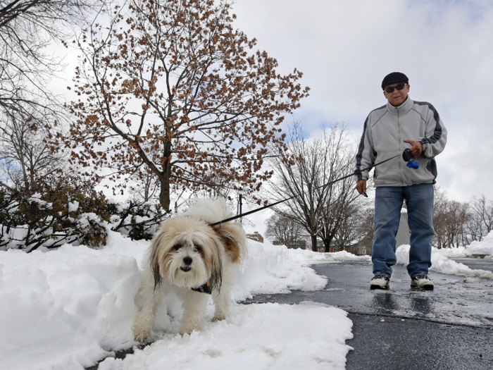 Pets are good for old age.