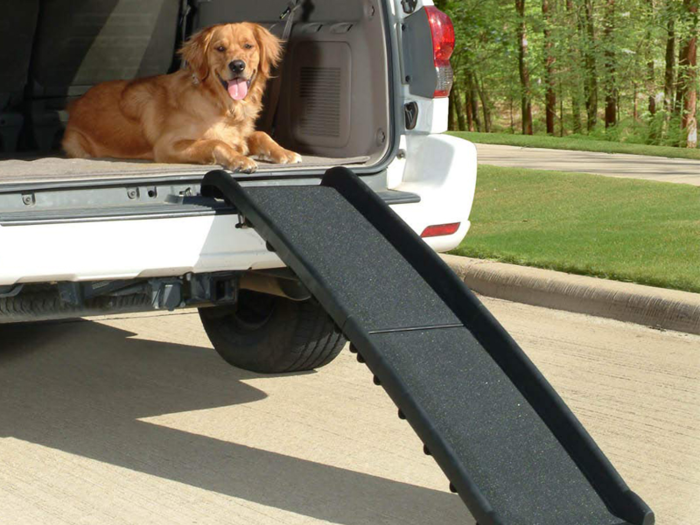 A pet ramp so they can easily get in and out of the car