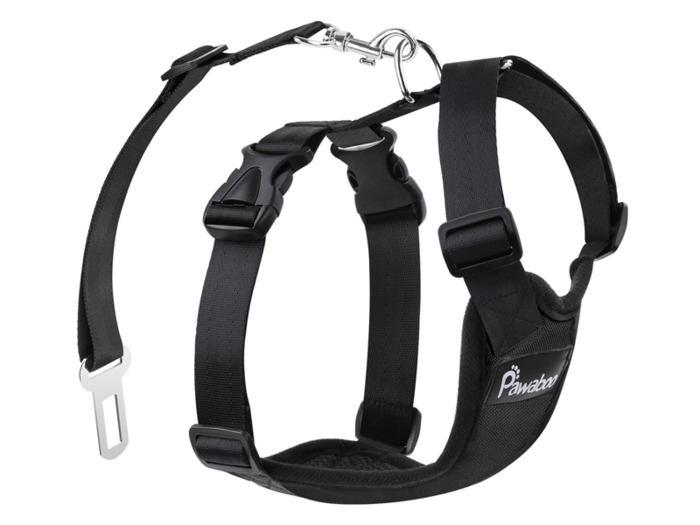 A safety harness and seat belt