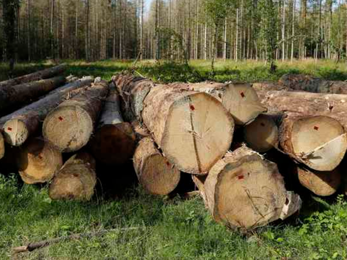 2. Logging